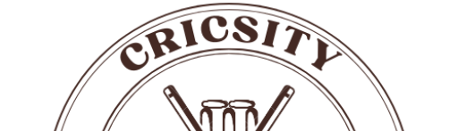 Cricsity logo